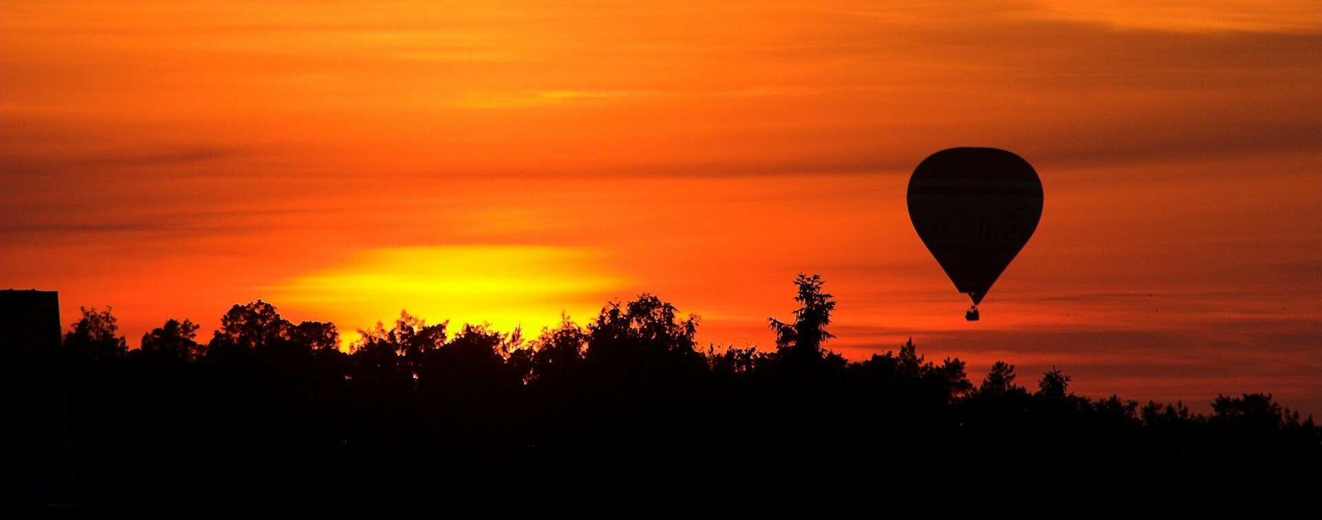 Hot air balloons in sky