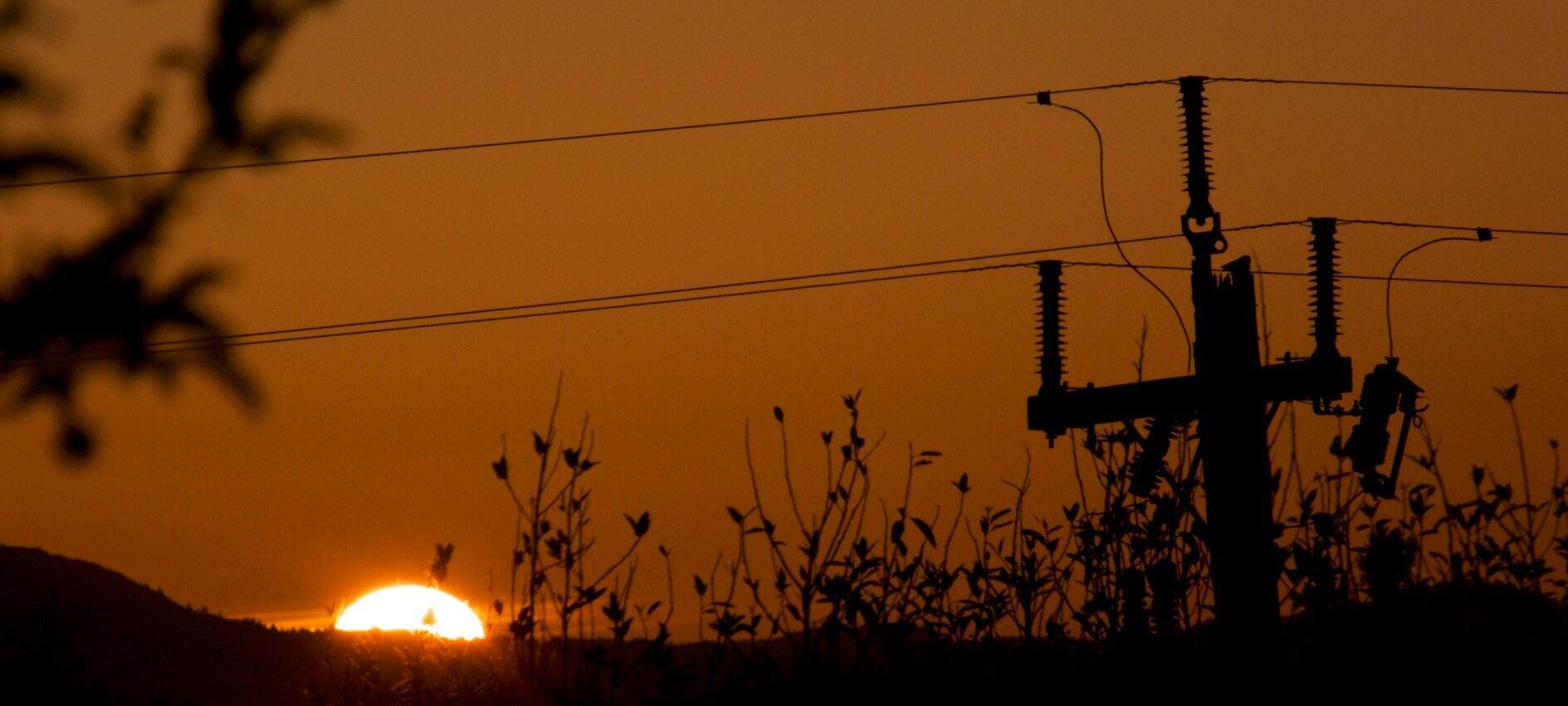 Powerline silhouette